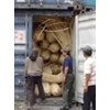 rattan