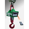 digital crane scale