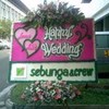 bunga papan