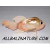 red fish