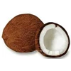 kelapa / coconut