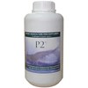 p2