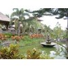 paket kintamani hot spring tours