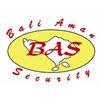 security services
