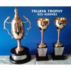trophy, piala, award metal, plakat, produksi plakat piala, plakat, piala, trophy, anugerah, pengharggaan, medali, lencana, mencetak, membuat berbagai macam plakat piala, trophy, lencana produksi resin acrilik produksi langsung 24 jam orders