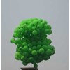 baloon branding