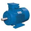 electric motor elektra