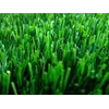 monofilament synthetic grass