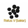 ratus bakar
