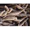 singkong / cassava