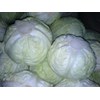 kol / cabbage
