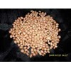 kacang tanah( arachis hypogaea l.) indonesia: kacang tanah; english= peanut ~ sms= + 6281-32622-0589 ~ email= nurida479@ rocketmail.com