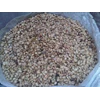 coffee luwak