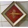 belalang stick