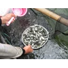 hasil perikanan berupa benih dan ikan konsumsi