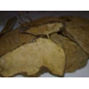 batok kelapa / coconut shell
