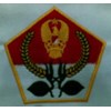 embroidered badges - scouts & school