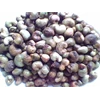 raw cashew nuts ( mente gelondong )