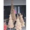fragrant root christmas tree