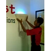 rema fly catcher