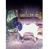 kambing etawa
