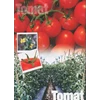 bibit tomat