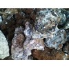 guano phospat
