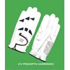 golf glove