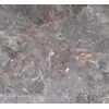 sargassum