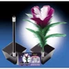 wand to flower