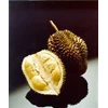 durian monthong