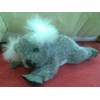 koala 3
