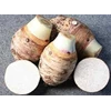 fresh japanese taro