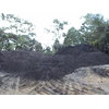 kp lahan batu bara 1.960 hektar