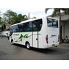 foto bus medium dengan kapasitas 20-31 seat nucleus