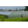 greenhouse tunnel