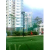 xpro turf modern grass