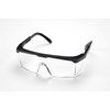porch googles clear