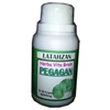pegagan