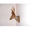 patung kepala rusa