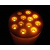everlasting candle
