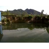 kolam pemancingan
