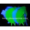 fluro dance