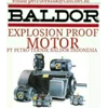 reliance baldor ac motor 	 severe duty-1