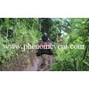 atv ( quad bike)