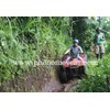 atv ( quad bike)