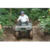 atv ( quad bike)