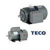 teco electric motor / elektromotor teco/ motor teco
