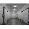 a cold storage indonesia / freezer room indonesia : indopanel-4