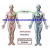 smp033 - biologi ( 8)
